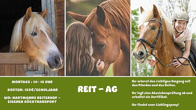 Reit-AG